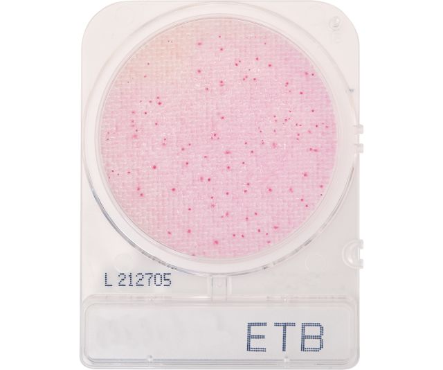 COMPACT DRY (ETB) ENTEROBACTERIA (4 UD. PAQ)